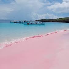Pantai Pink